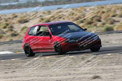 media/Oct-24-2025-Doghouse Garage (Fri) [[783d2ff07a]]/1-Advanced/Session 2 Turn 5 Tree of Life/